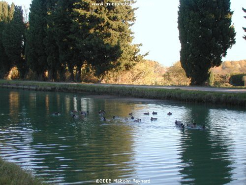 Canal du Midi