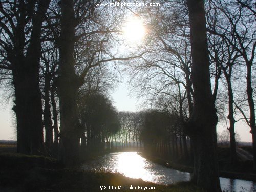 HERAULT - Canal du Midi