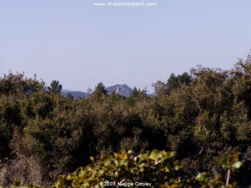 AUDE - Corbières