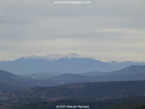 AUDE - Corbières