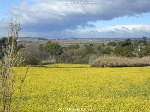 HERAULT - Languedoc