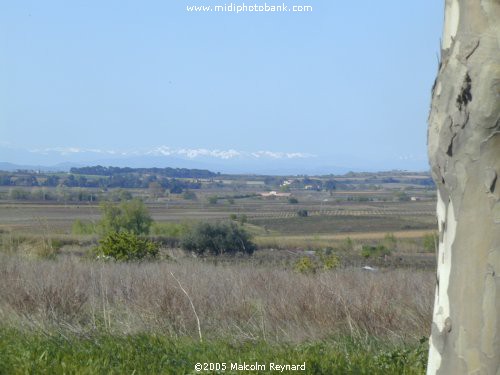 HERAULT - Languedoc