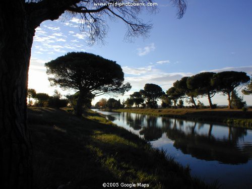 Canal du Jonction