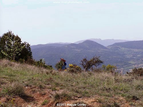 Corbières