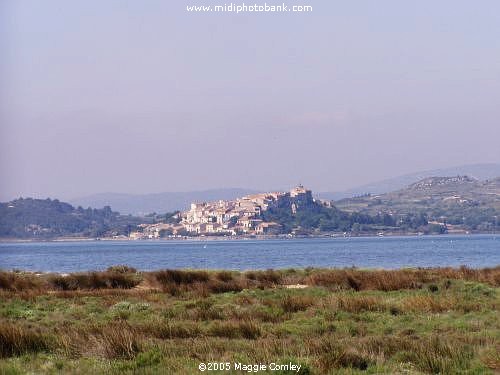 Etang de Bages