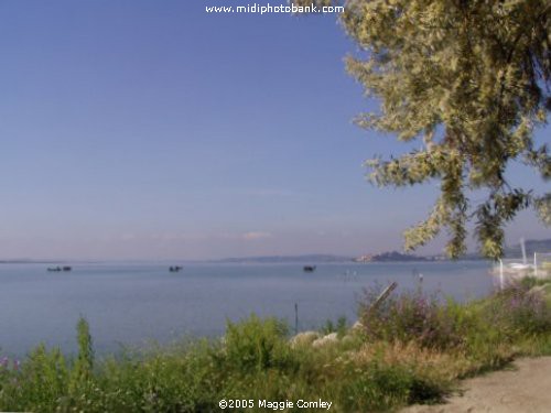 AUDE - Etang de Bages