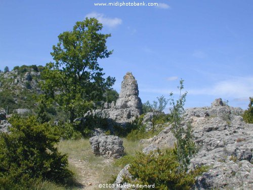 AVEYRON - Larzac