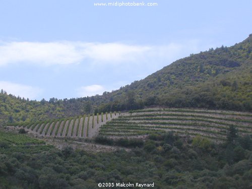 HERAULT - Languedoc