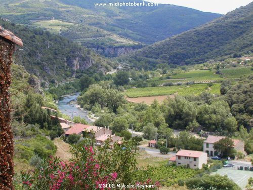 HERAULT - Languedoc