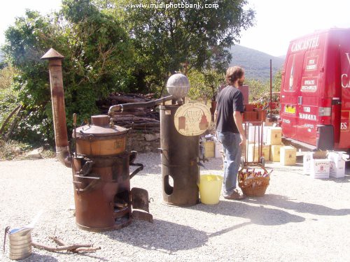 Foire de Mouthoumet