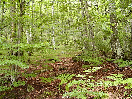 AUDE - Montagne Noire