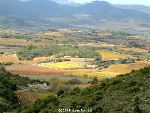 AUDE - Corbières