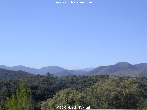 HERAULT - Languedoc