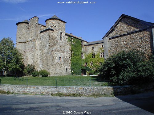 AVEYRON - Taurines