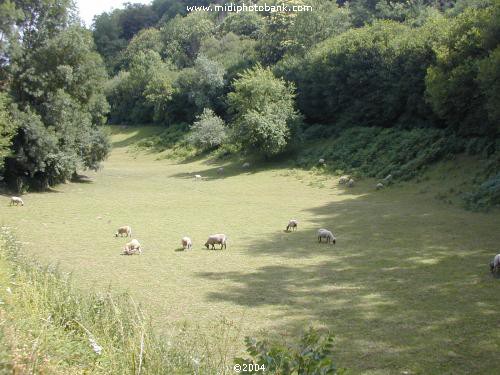 AVEYRON