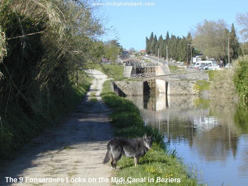 HERAULT