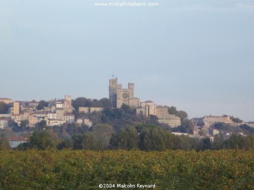 Vineyards