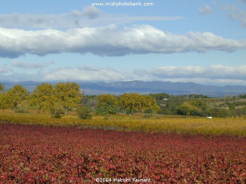 Autumn colours