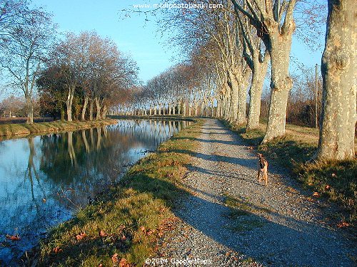 Canal du Midi