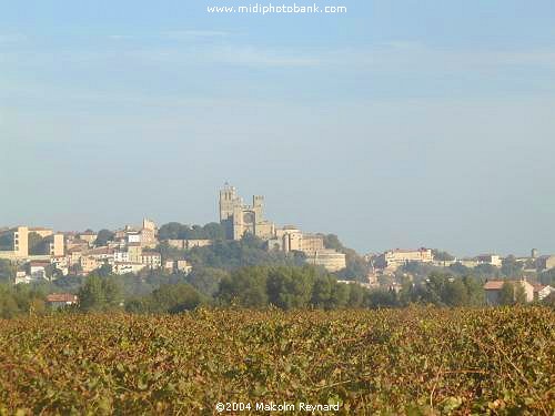 Vineyards