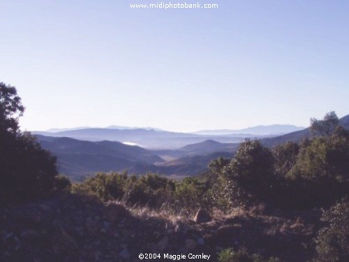 The High Corbières