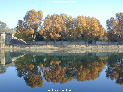 Autumn on the Orb River