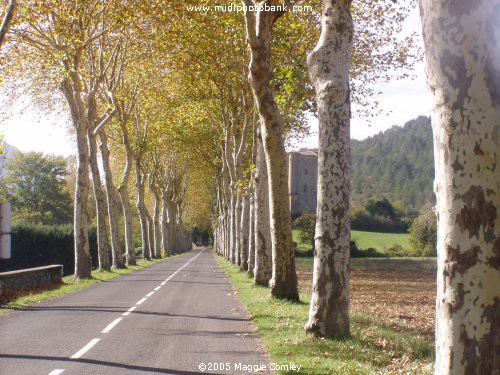 Autumn in the Corbières