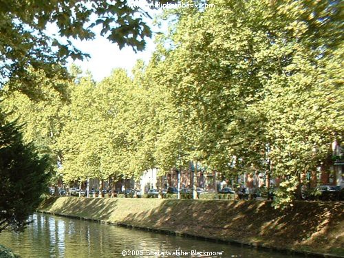 Canal du Brienne