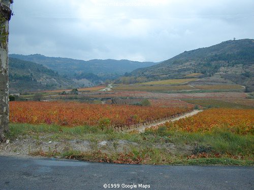 Autumn in the Corbières