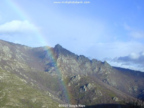 Winter Rainbow