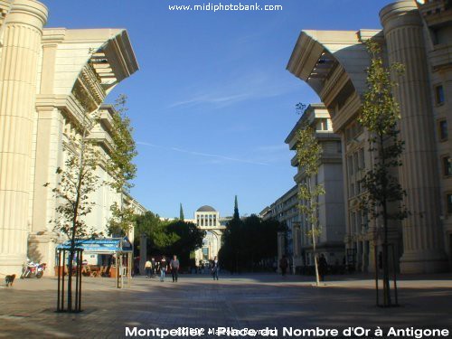 The "New" Montpellier