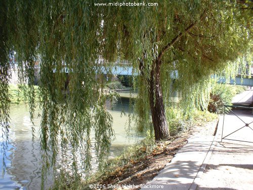 Canal du Brienne