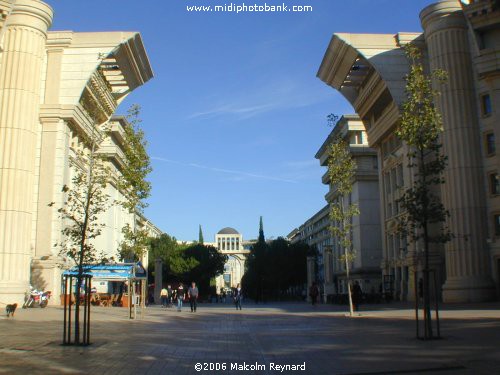 The "New" Montpellier