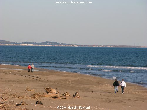 Winter Beach