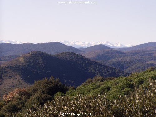 Snow Capped Pyrenées