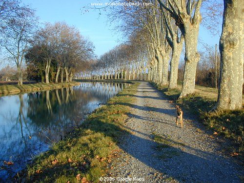 Wintery Midi Canal