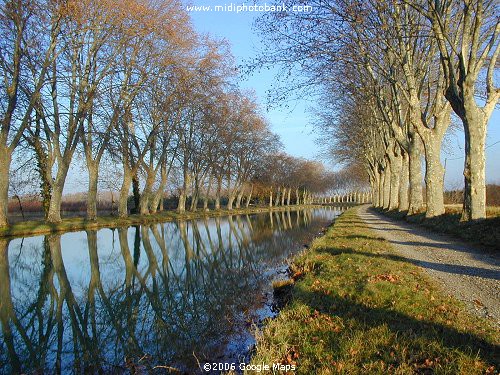 Wintery Midi Canal