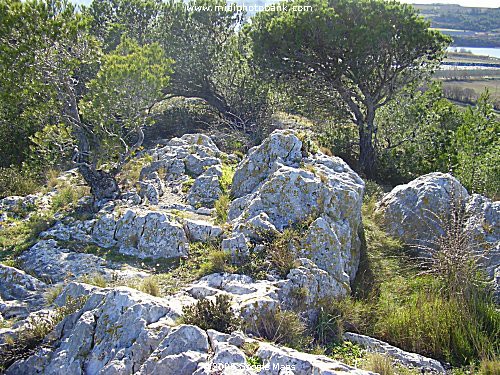 Oppidum de Montlaurès