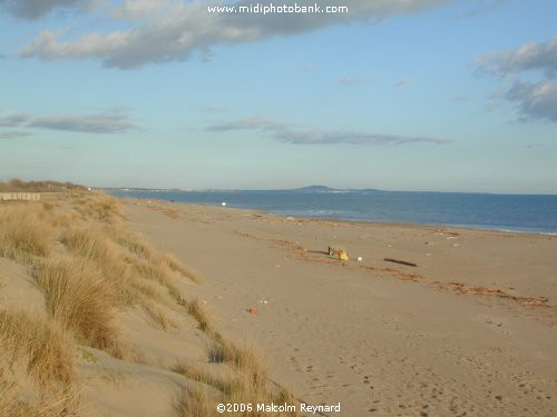 Empty Beaches