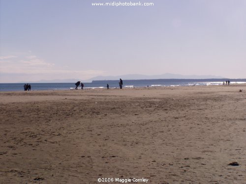  A Winter's Beach