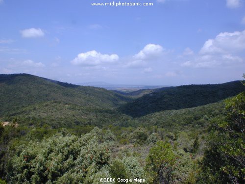 The High Corbières