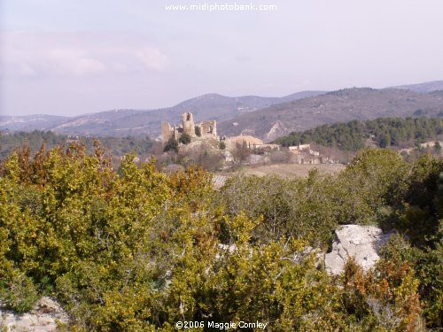 Corbières Garrige