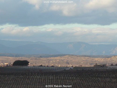 Herault Countryside