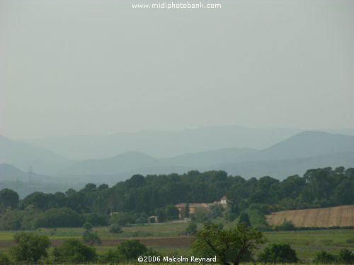 Languedoc Vineyards