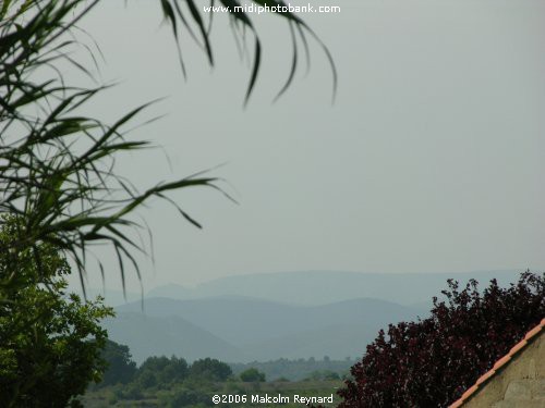 Languedoc Countryside