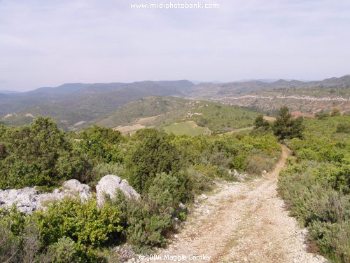 Hill Walking in the Corbières