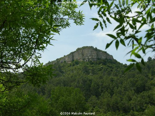 Hills of the Corbières