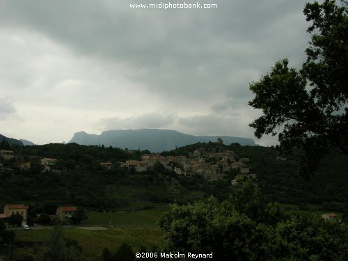 Haut Languedoc Regional Park