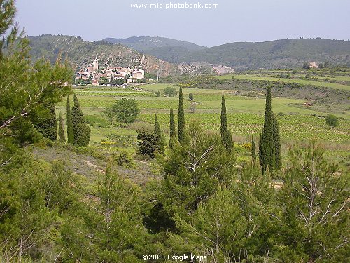 Corbières Vineyards