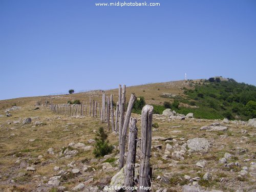 The Pyrenées Mountain Range